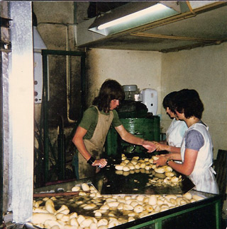 schilmachine voor aardappelen