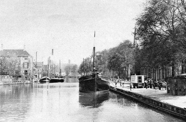 De hoflaan 1929 in Vlaardingen