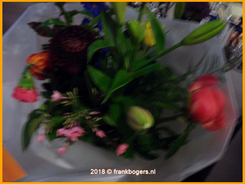 gezellig sporten bij fitplus