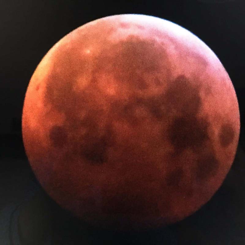 bloedmaan foto maken 