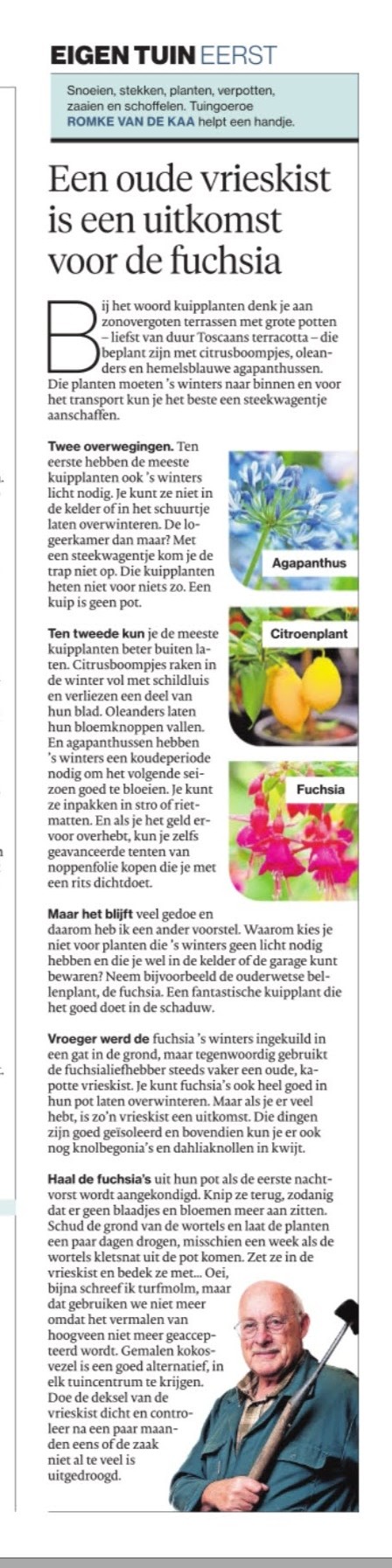 alt="Romke van der Kaa over fuchsia's overwinteren in een diepvrieskist"
