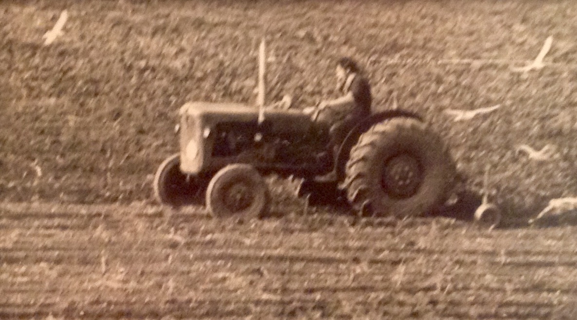 ploegen in de Eendrachtpolder
