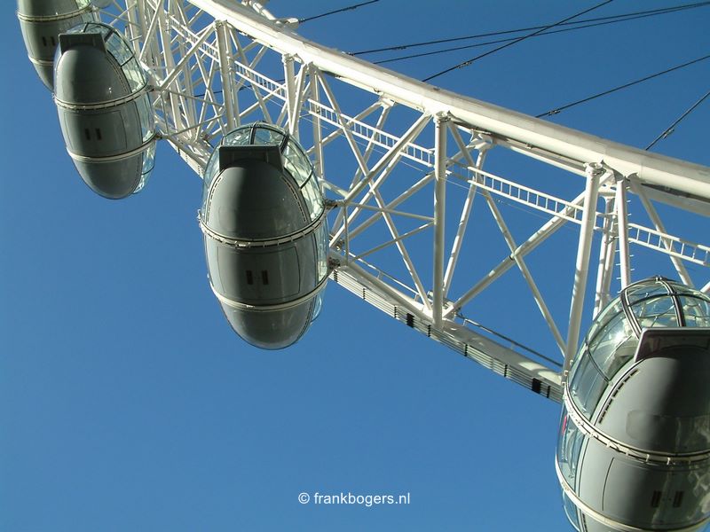 London Eye canines