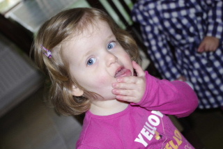 Evi