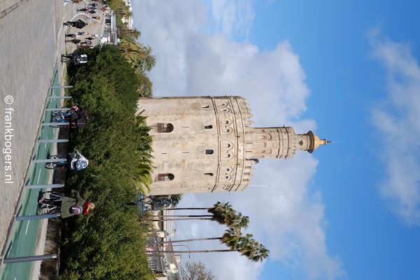 Torre del Oro de gouden toren sevilla