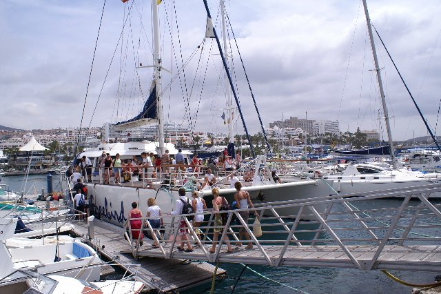 vissen spotten canarische eilanden
