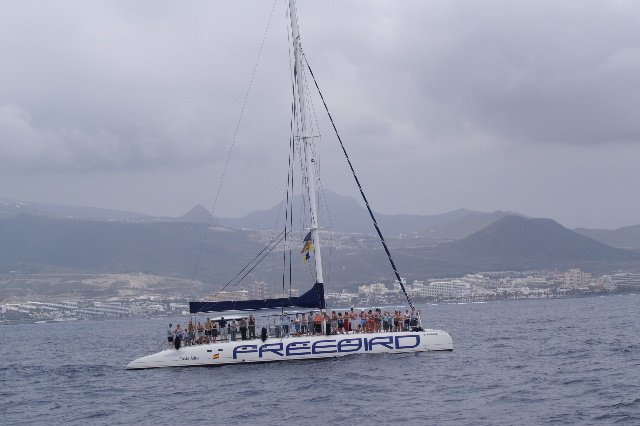 een mooie ervaring op de boot om walvissen en dolfijnen te spotten