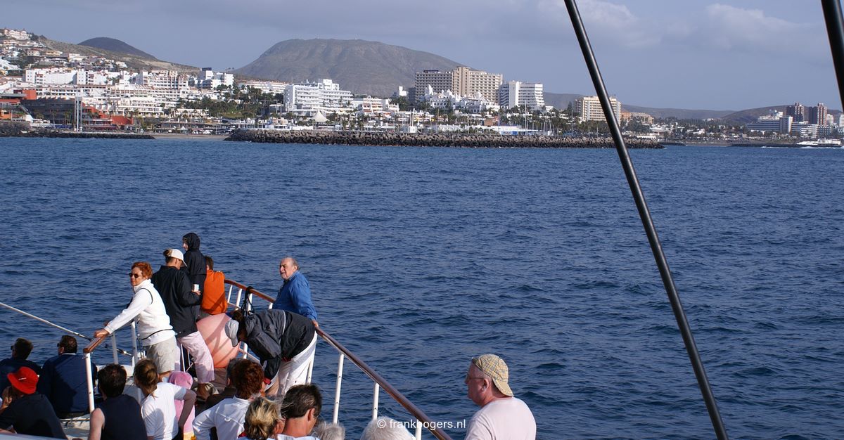 Walvissen en Dolfijnen Spotten op Tenerife: Een Unieke Ervaring op de Atlantische Oceaan